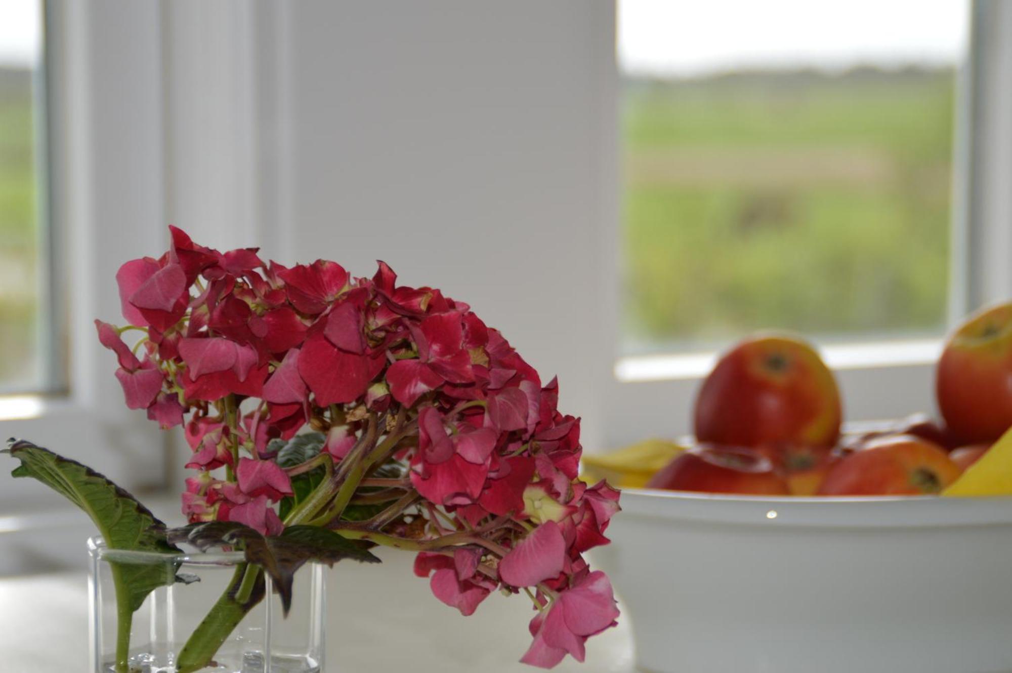 Apartamento Ley Dunsum Exterior foto